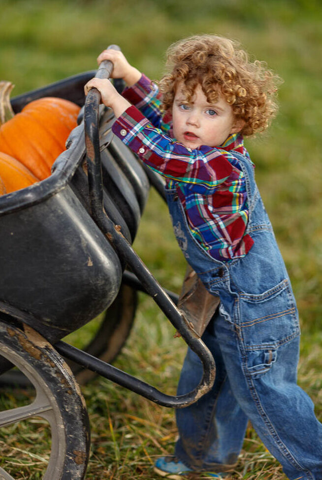 Boy Lifting Pumpkins